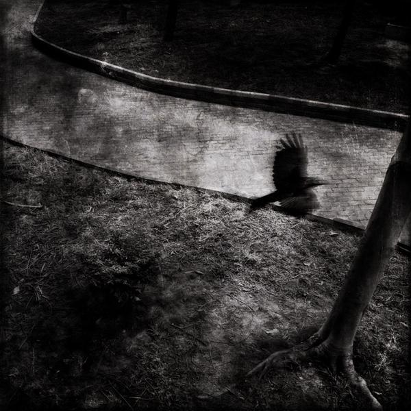 ddos攻击测试工具